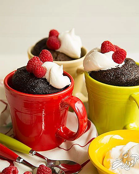 انواع دستورالعمل‌های آشپزی در ماگ برای آنهایی که مایکروفر دارند